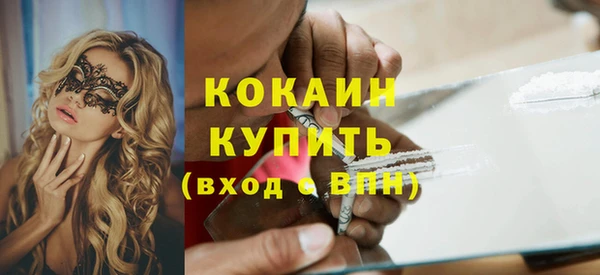 кокс Алексин