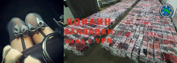 кокс Алексин