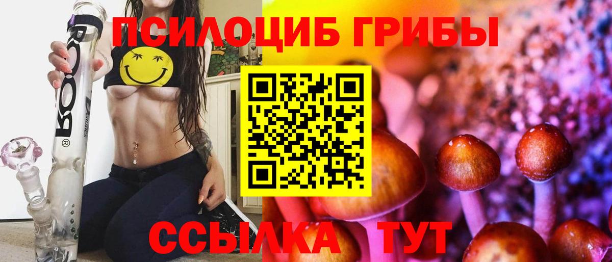 Псилоцибиновые грибы GOLDEN TEACHER Чебоксары